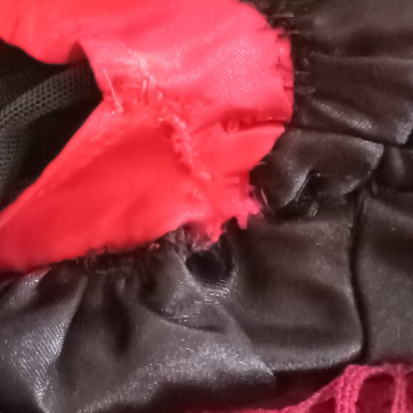 Queen of Hearts Alice in Wonderland Women's costume size Large Halloween - Picture 8 of 11